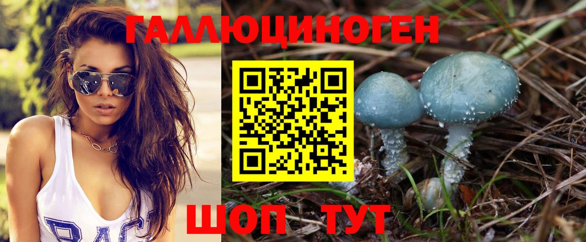где найти наркотики  Вход с VPN  Красноярск  Галлюциногенные грибы GOLDEN TEACHER 